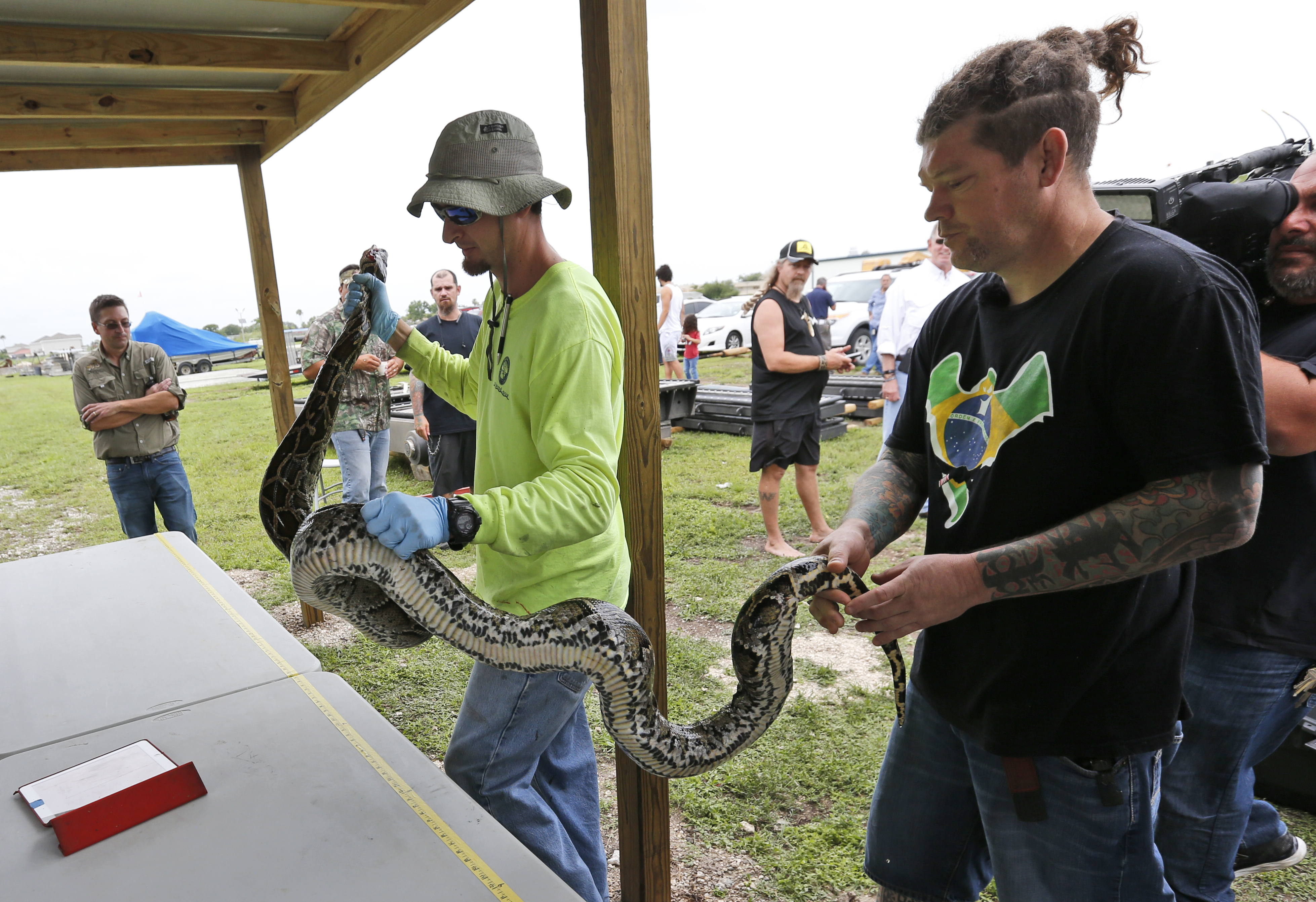 1,000 Pythons | God's World News