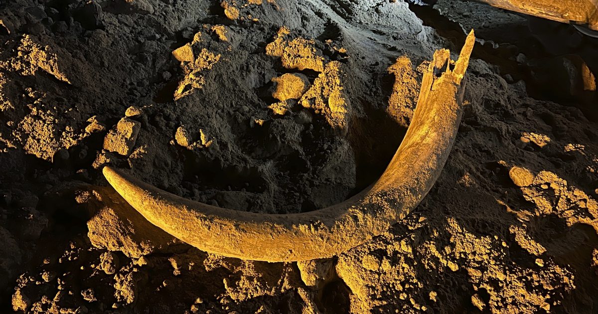 A Mammoth Surprise God's World News