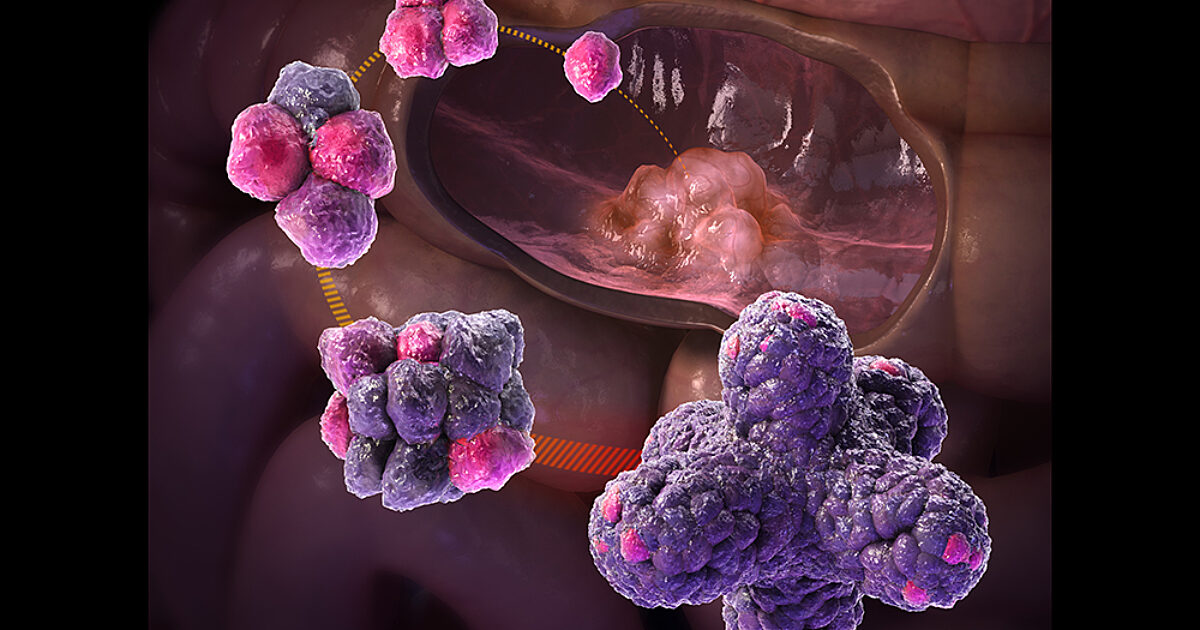 Growing Mini Organs | God's World News