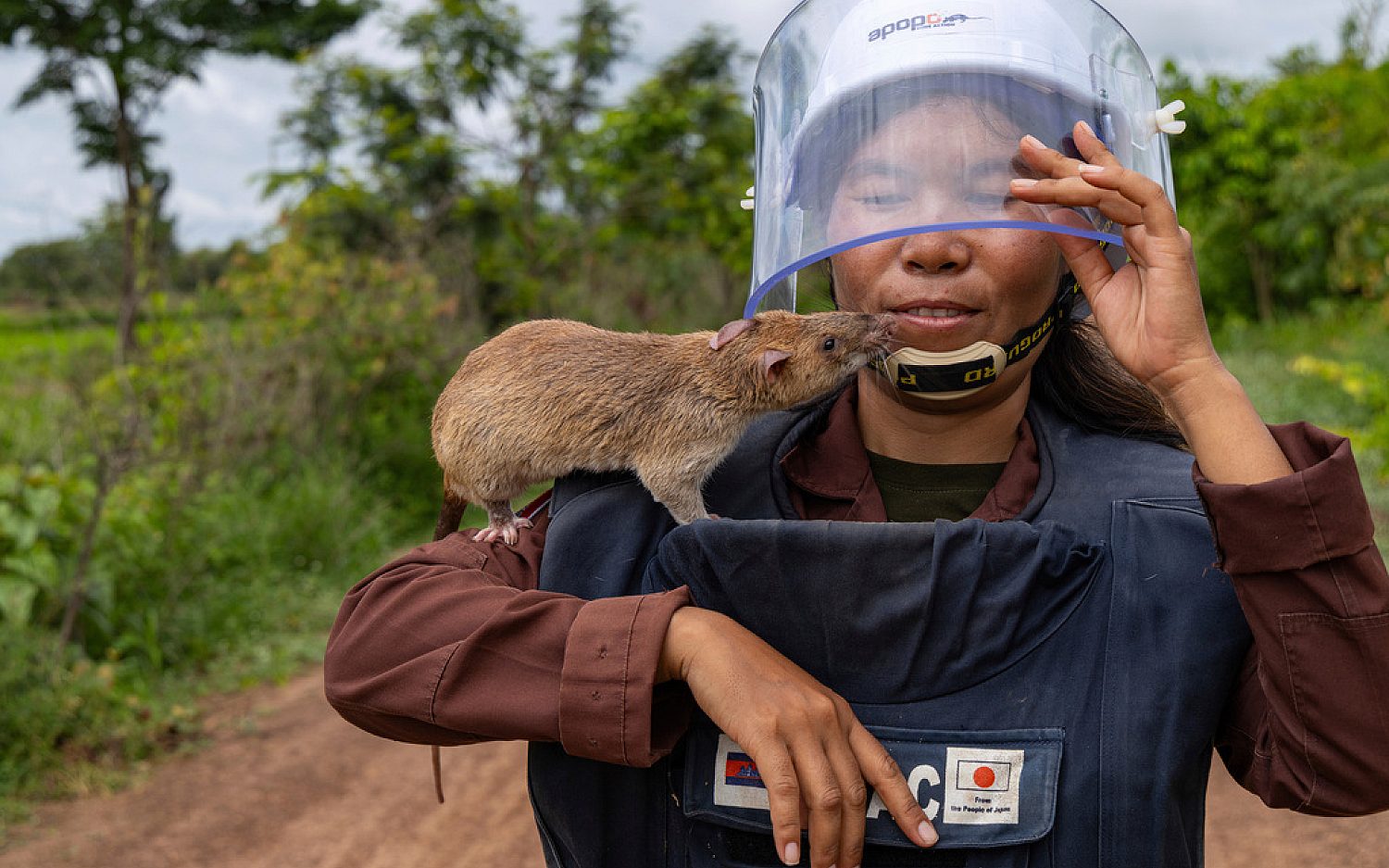 Oh, Thank You, Rats! | God's World News