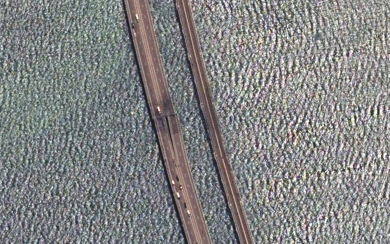 T2 20343