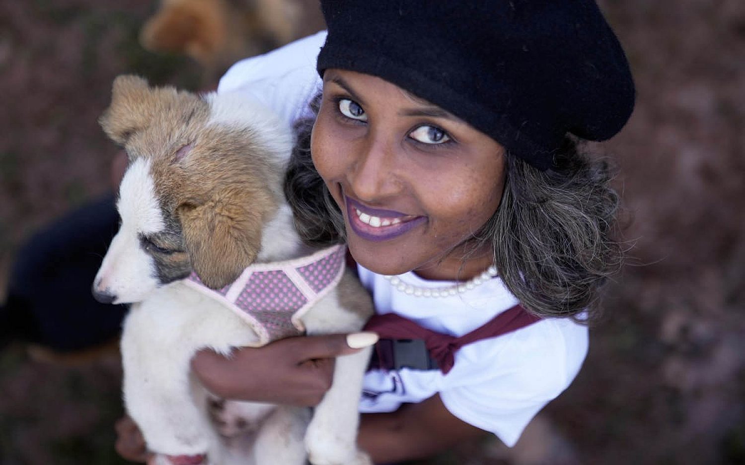 1 Ethiopia dogs AP k