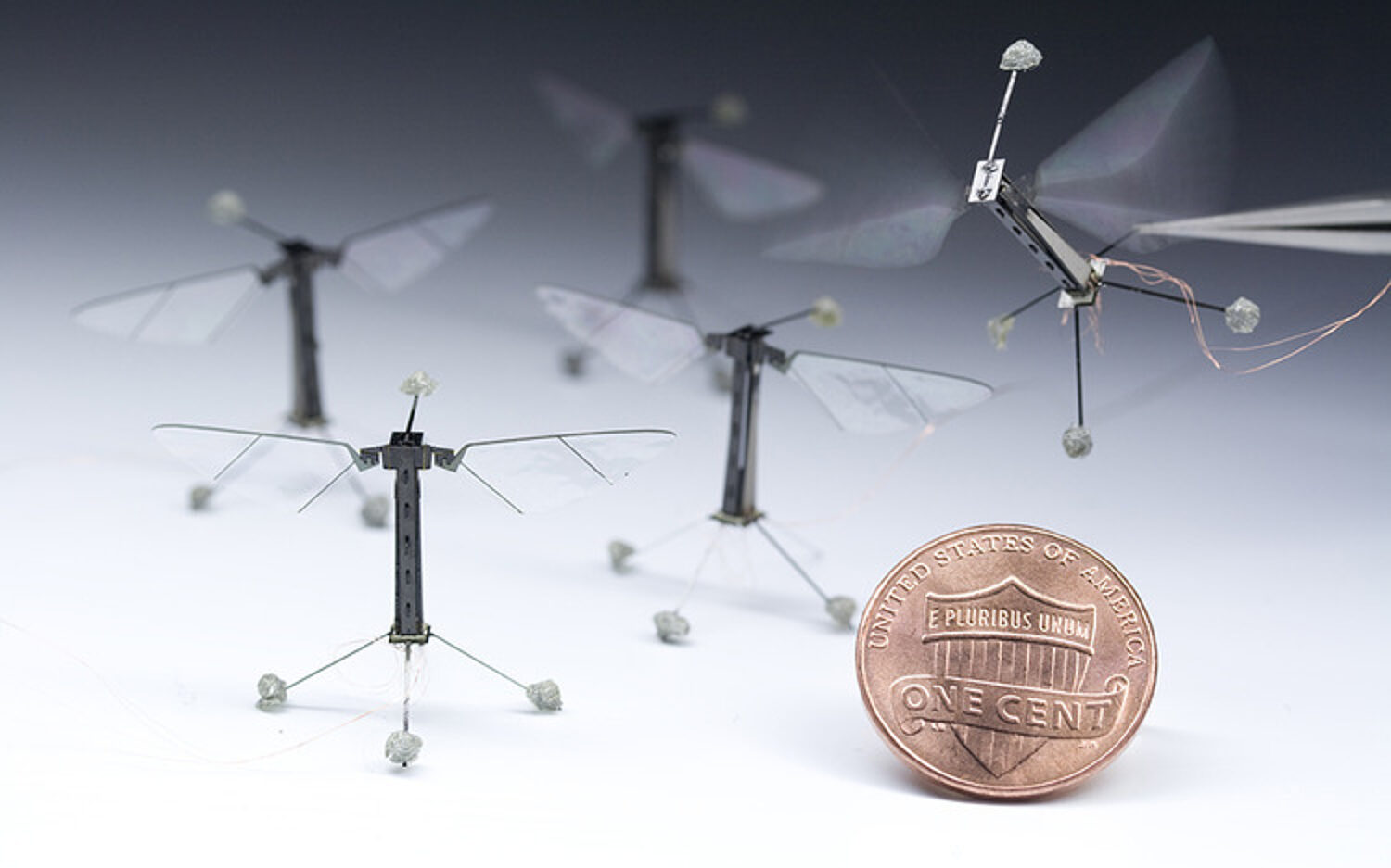 1 Robo Bees 750x500