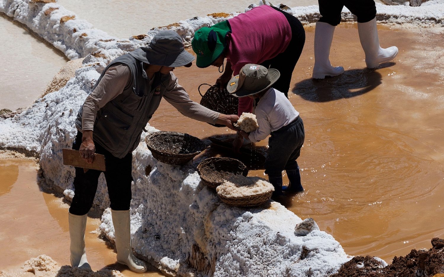 1 Salt in Andes AP k