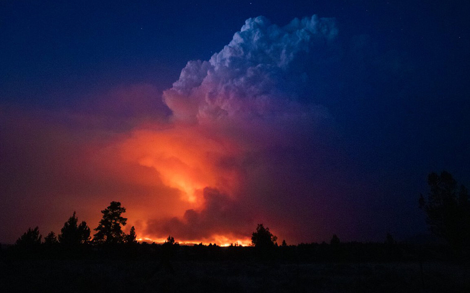 1 firecloud