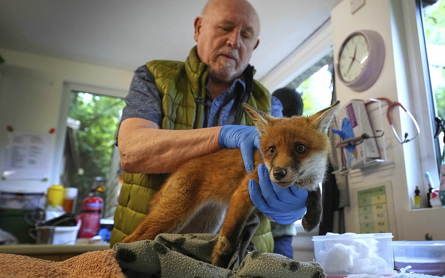 1 fox london AP