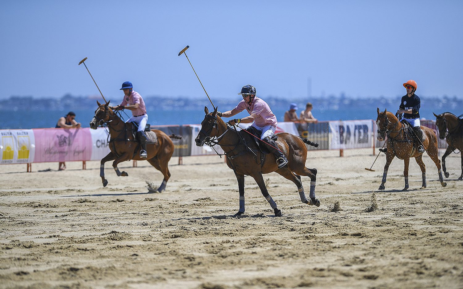 1 horse sports AP