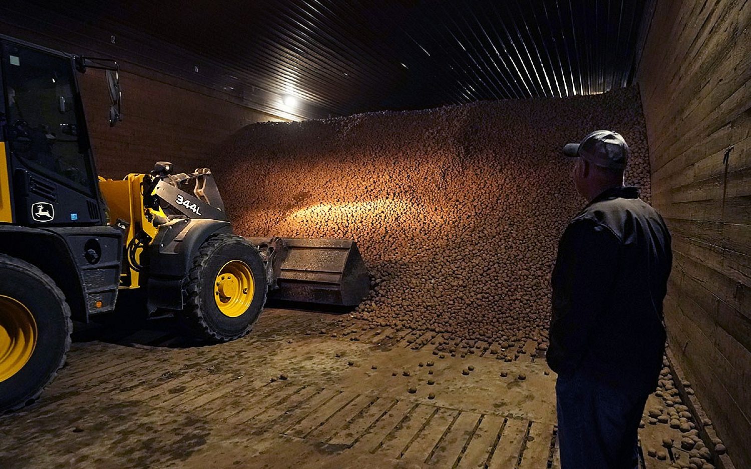 1 potato storage AP