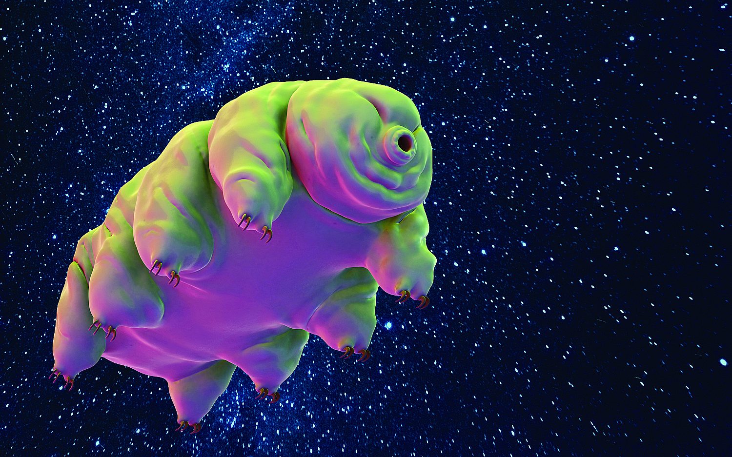 1 tardigradetough Getty Images
