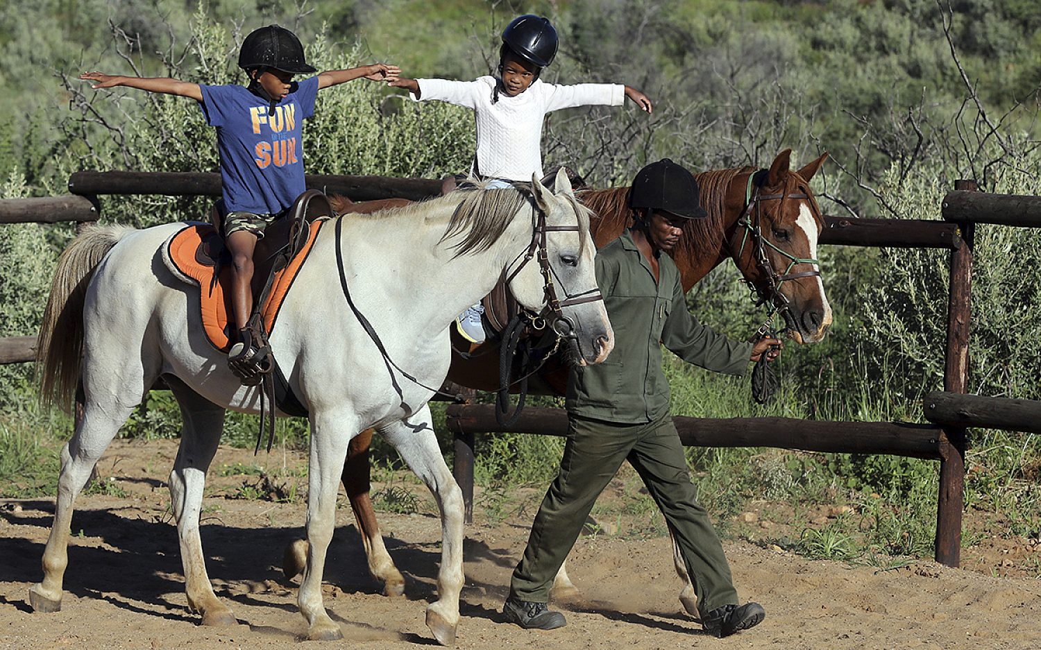 2 Horse therapy AP
