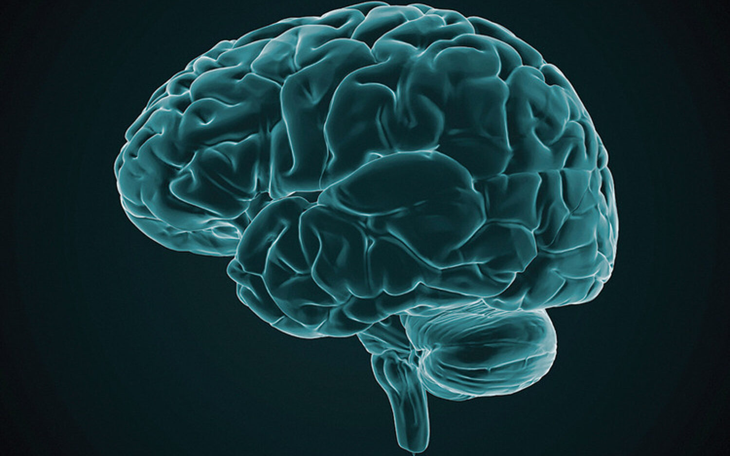2 Immune Brain 750x487