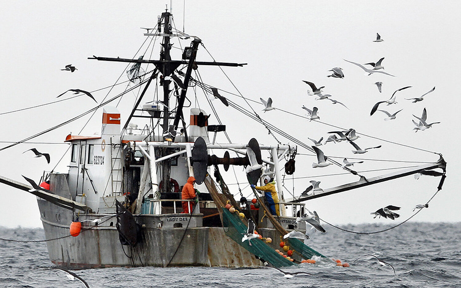 One Man’s Trash [Fish] | God's World News
