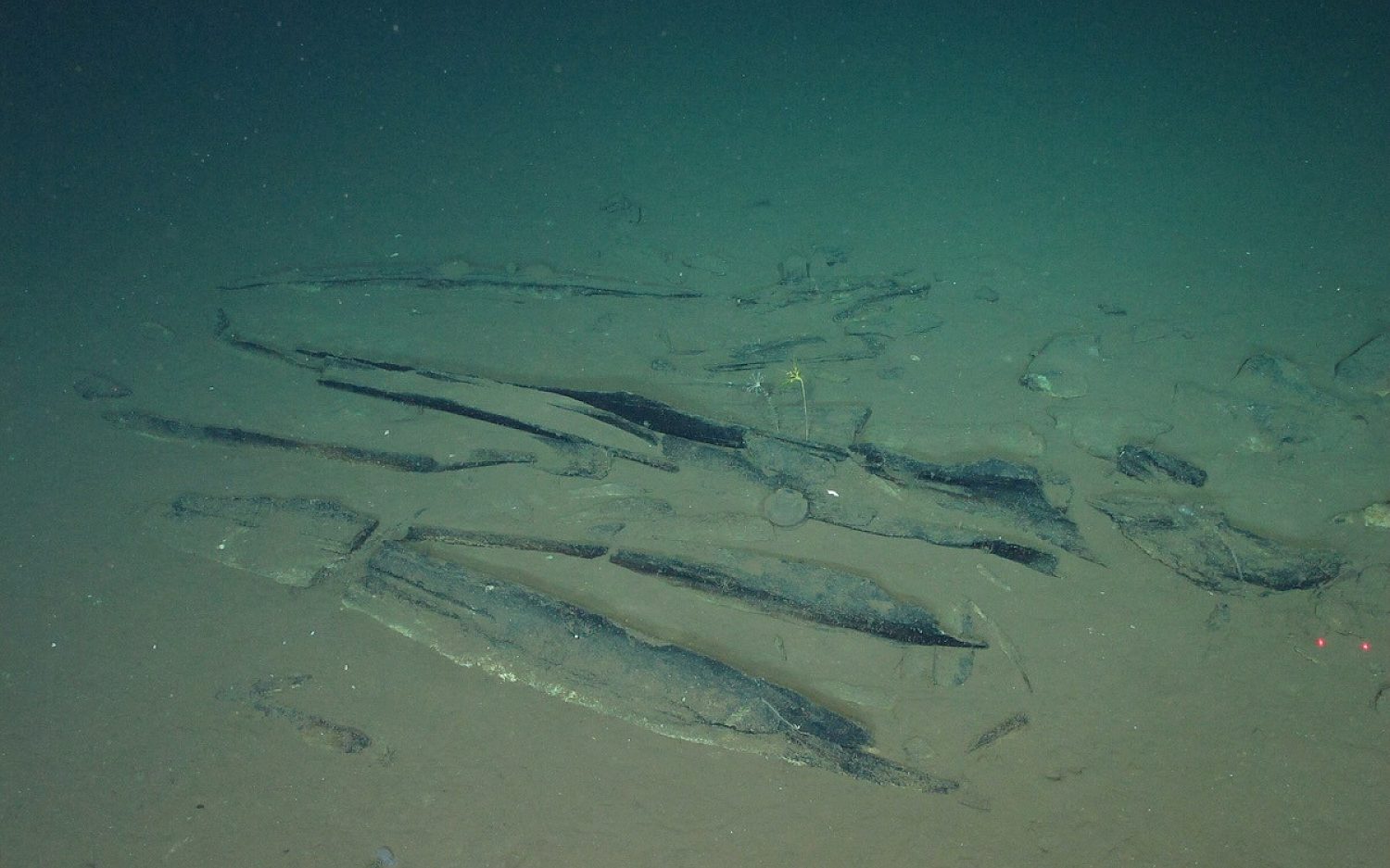 2 Whale graveyard AP