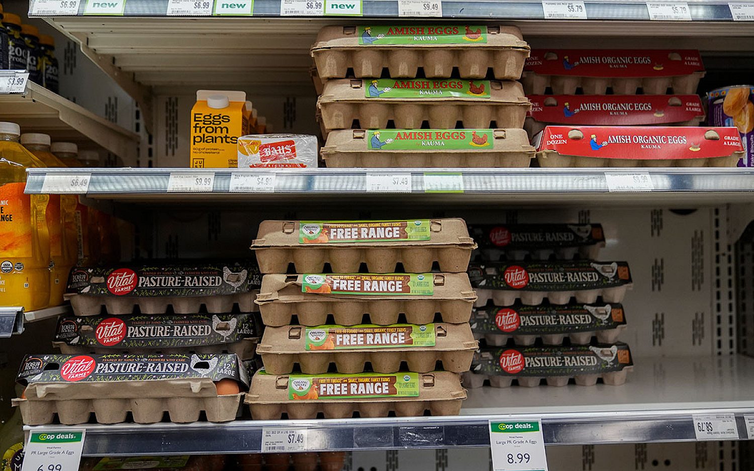 2 egg prices AP
