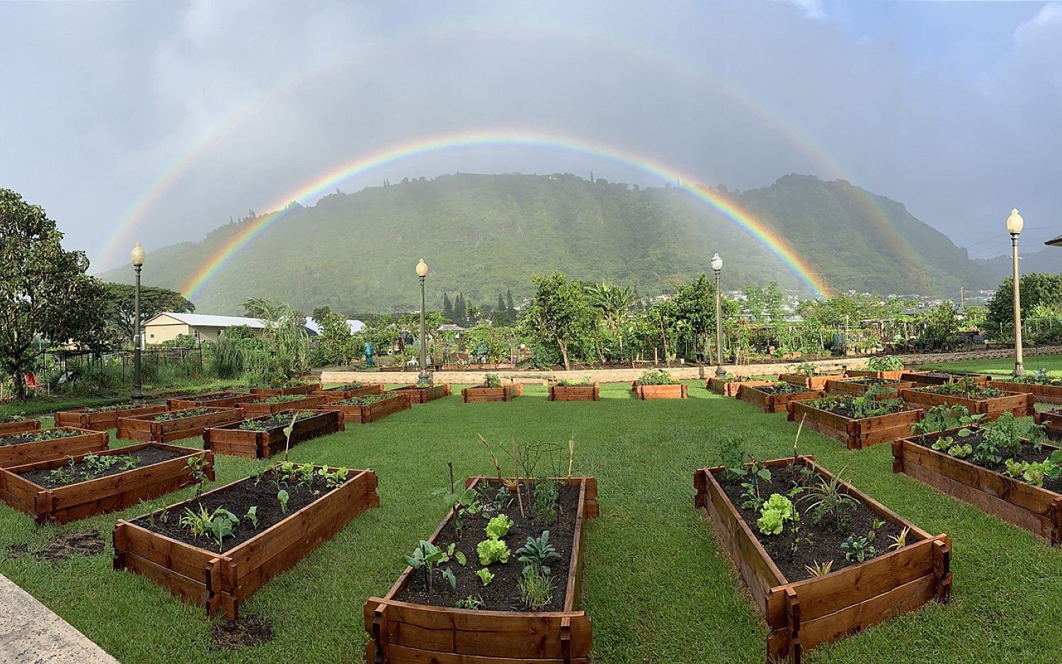 2 hawaii urban food k