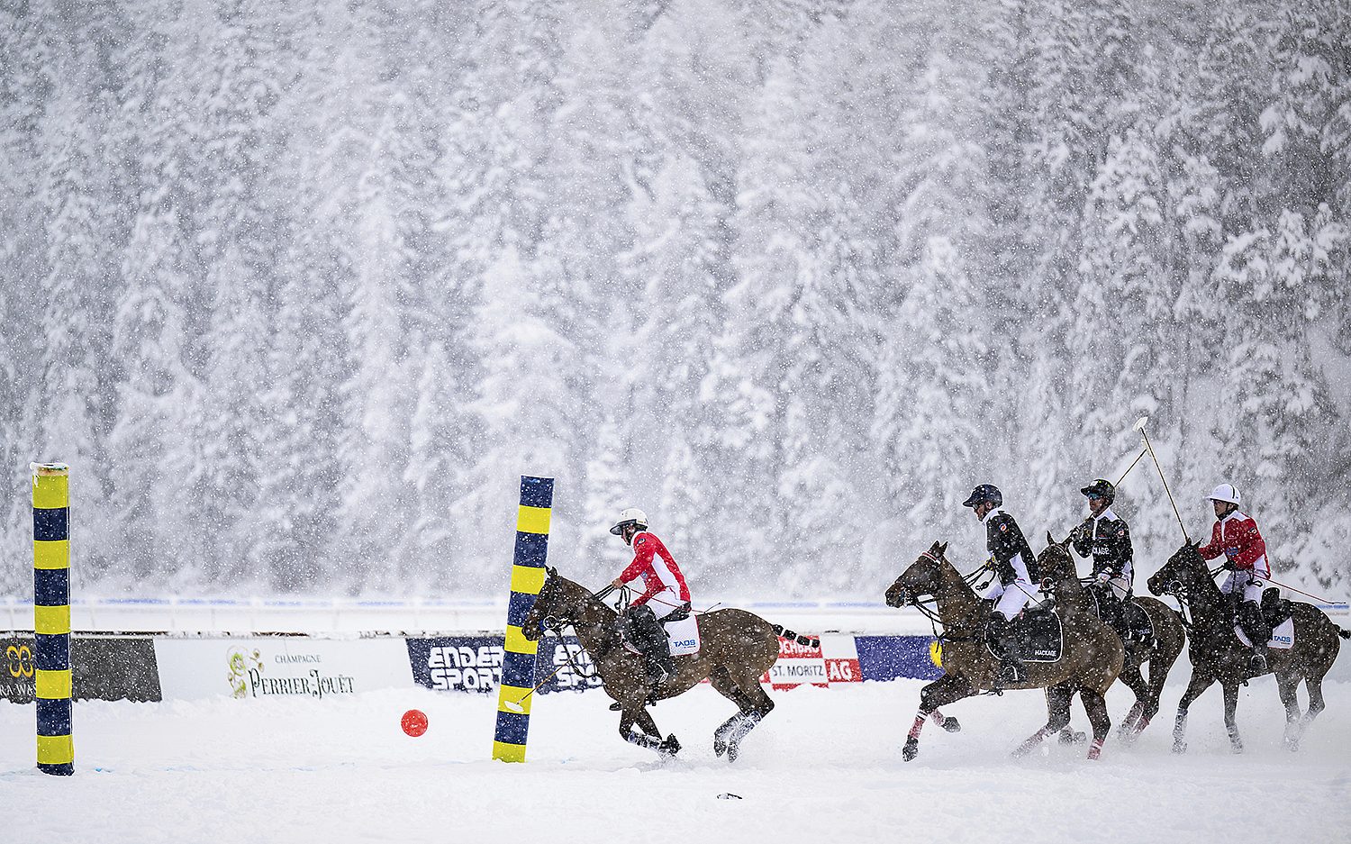 2 horse sports AP