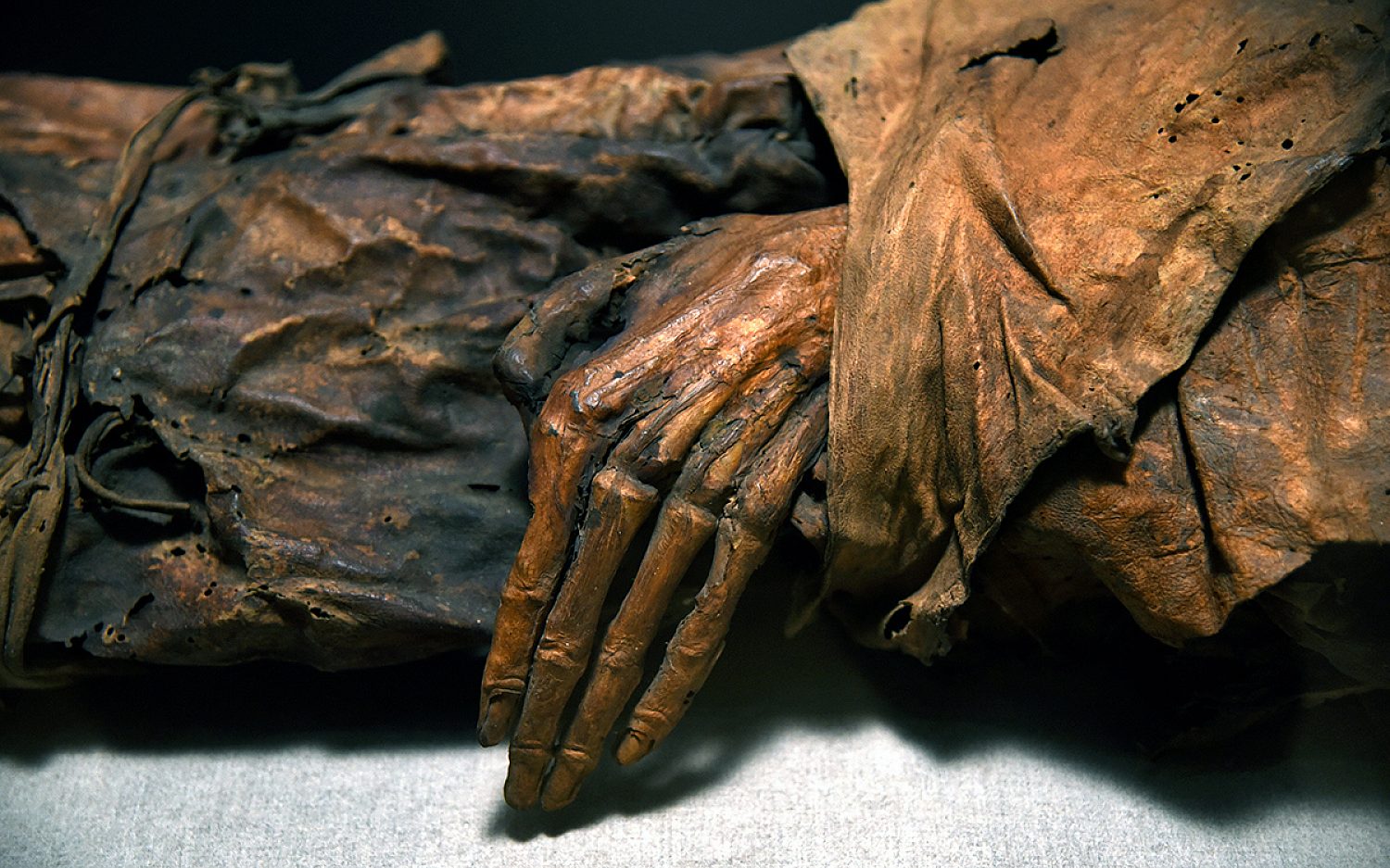 2 mummies AP k