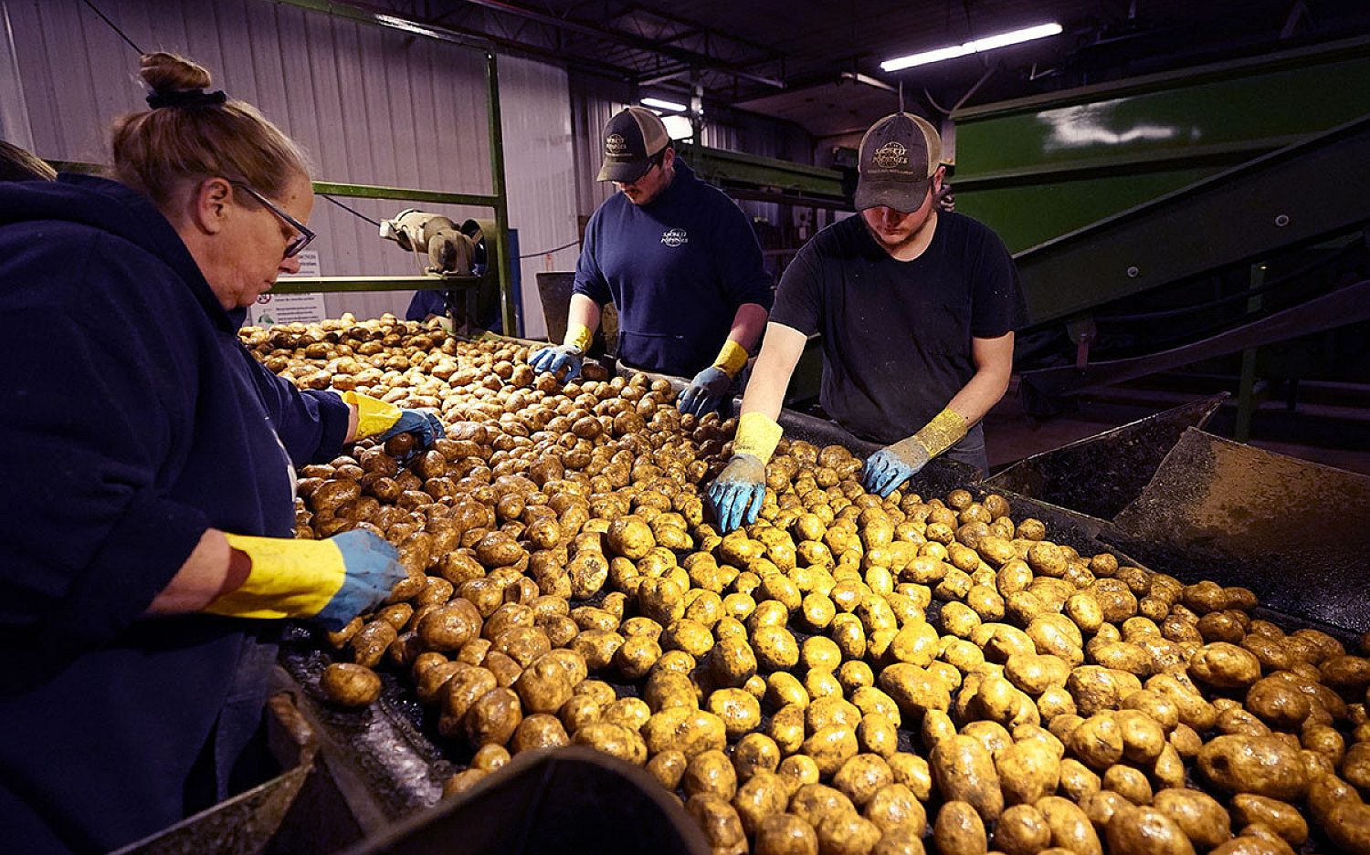 2 potatoe storage AP