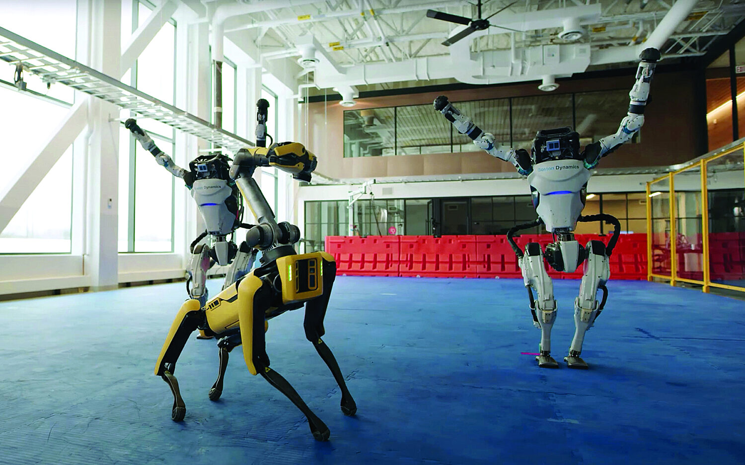 Love Those Dancing Robots | God's World News