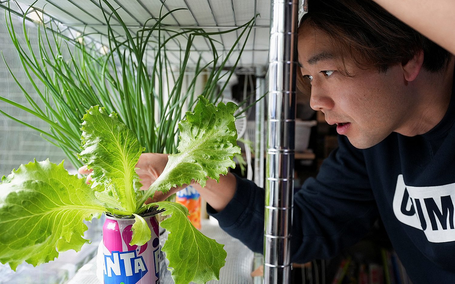 1 indoorfarming Reuters