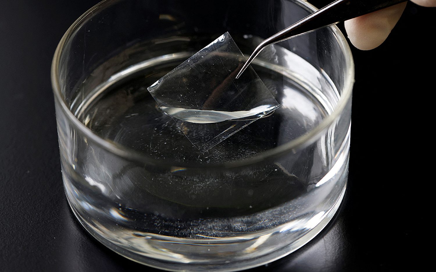 3 dissolving plastic Reuters k