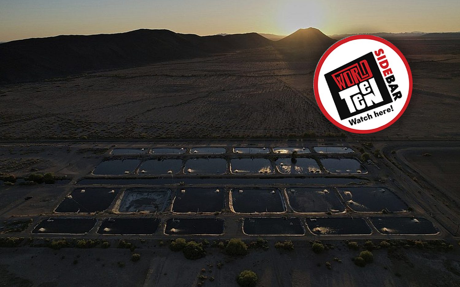 Fish in the Desert | God's World News