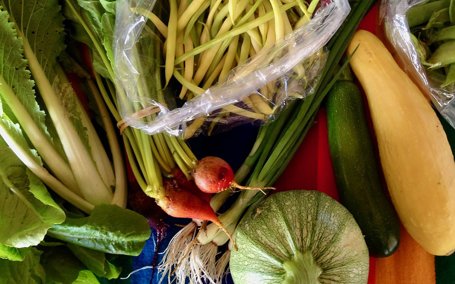 1 farm skills cred Bear Butte Gardens