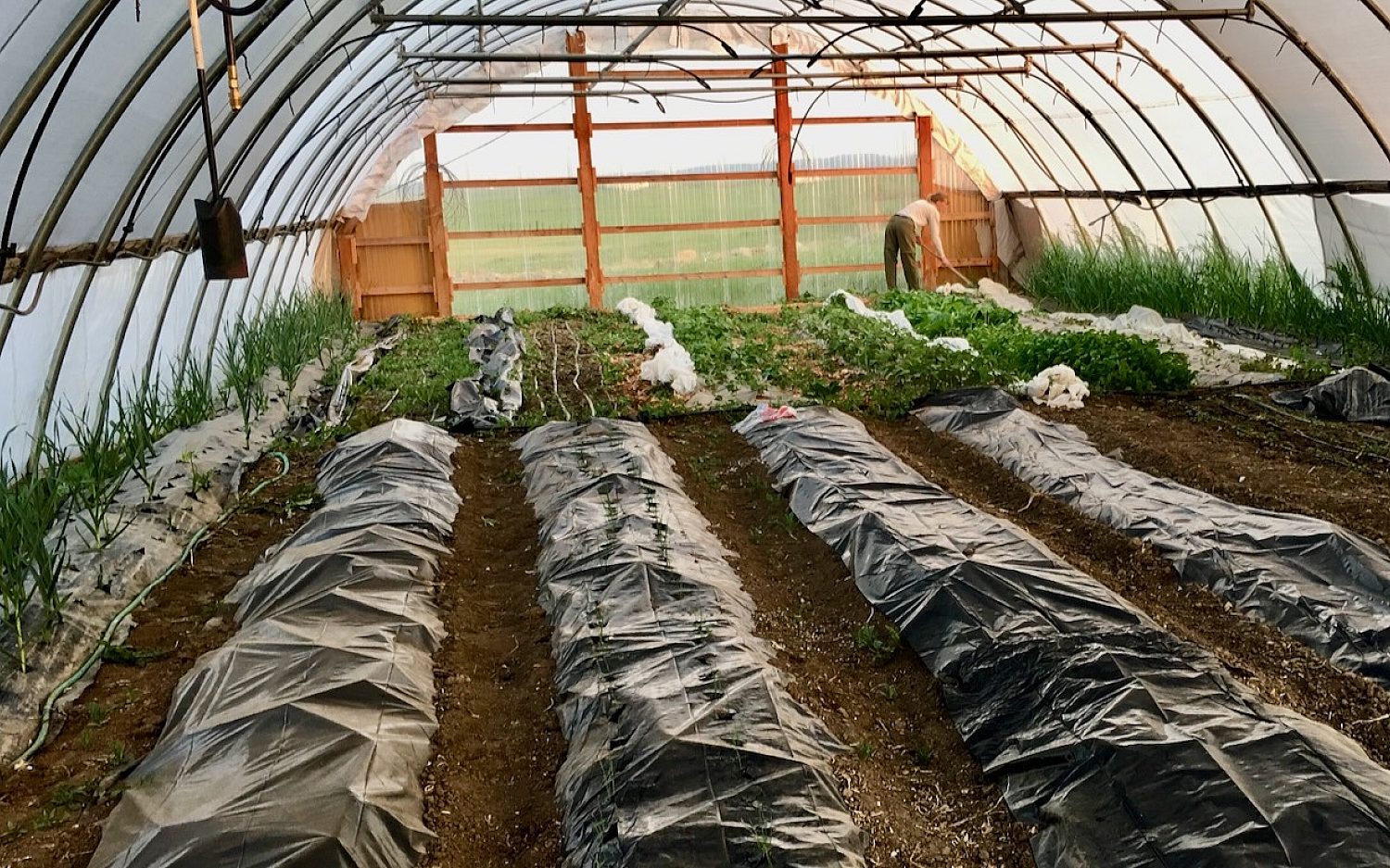 2 farm skillss Bear Butte Gardens