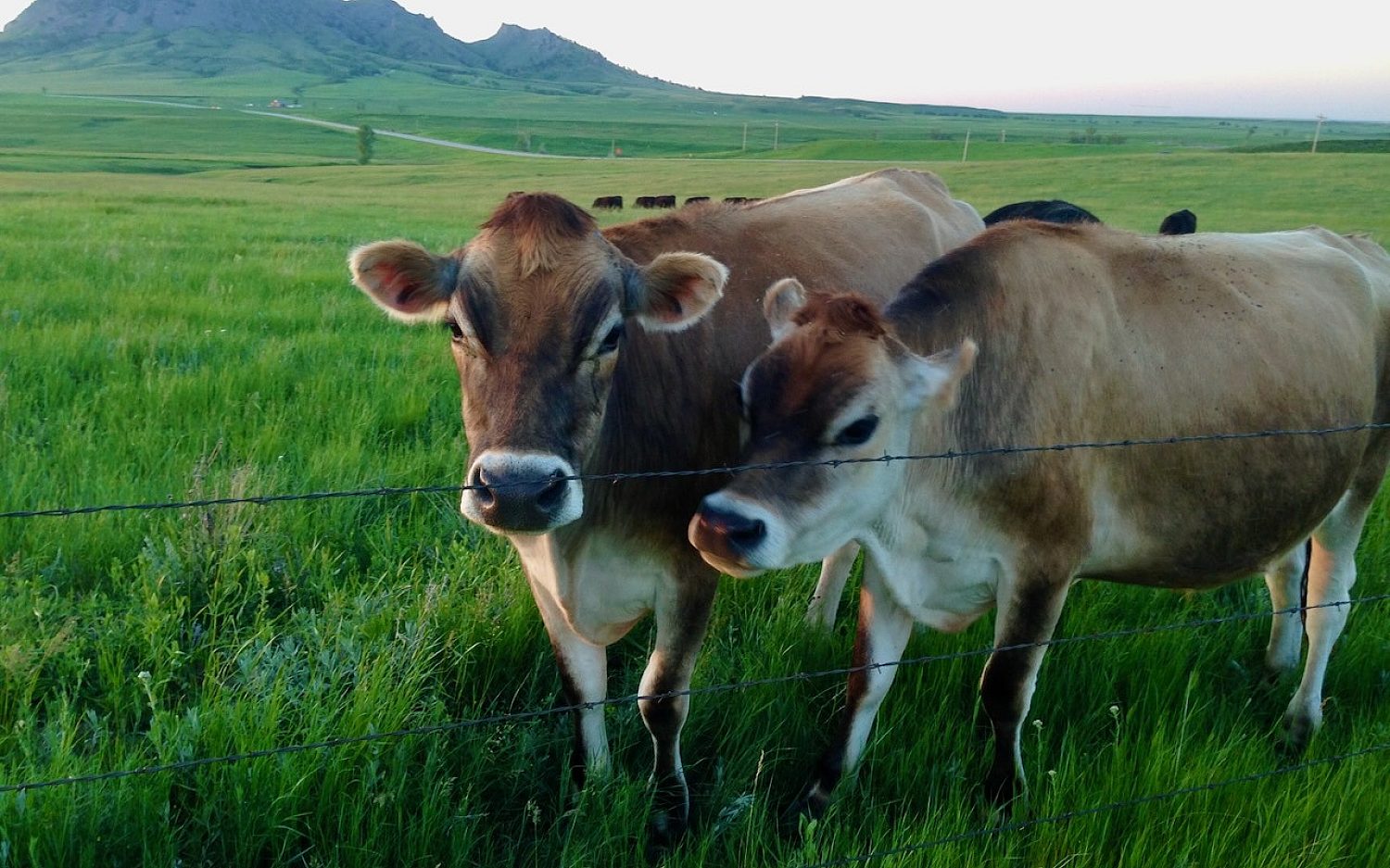 4 farm skills Bear Butte Gardens