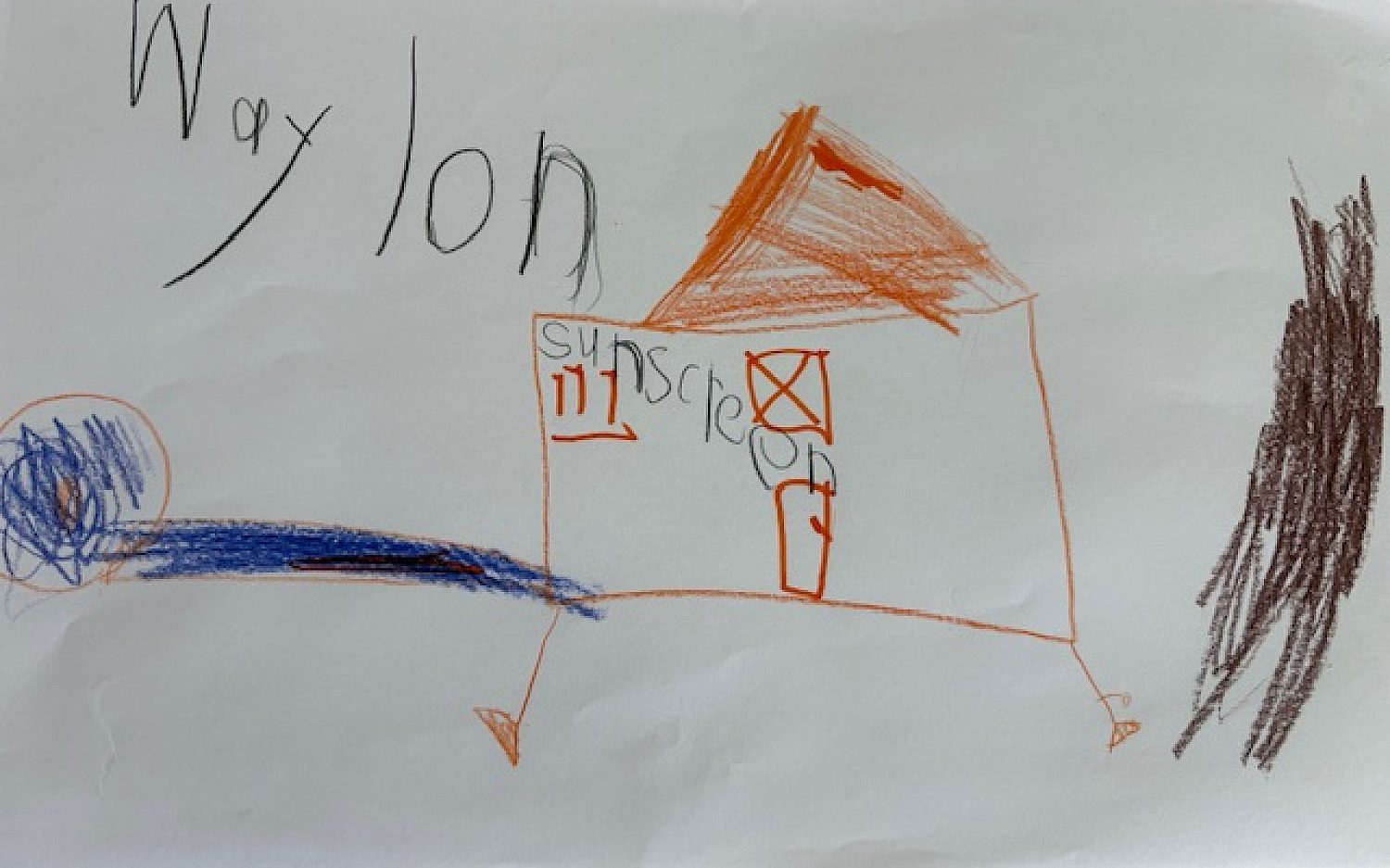 Waylon age 6