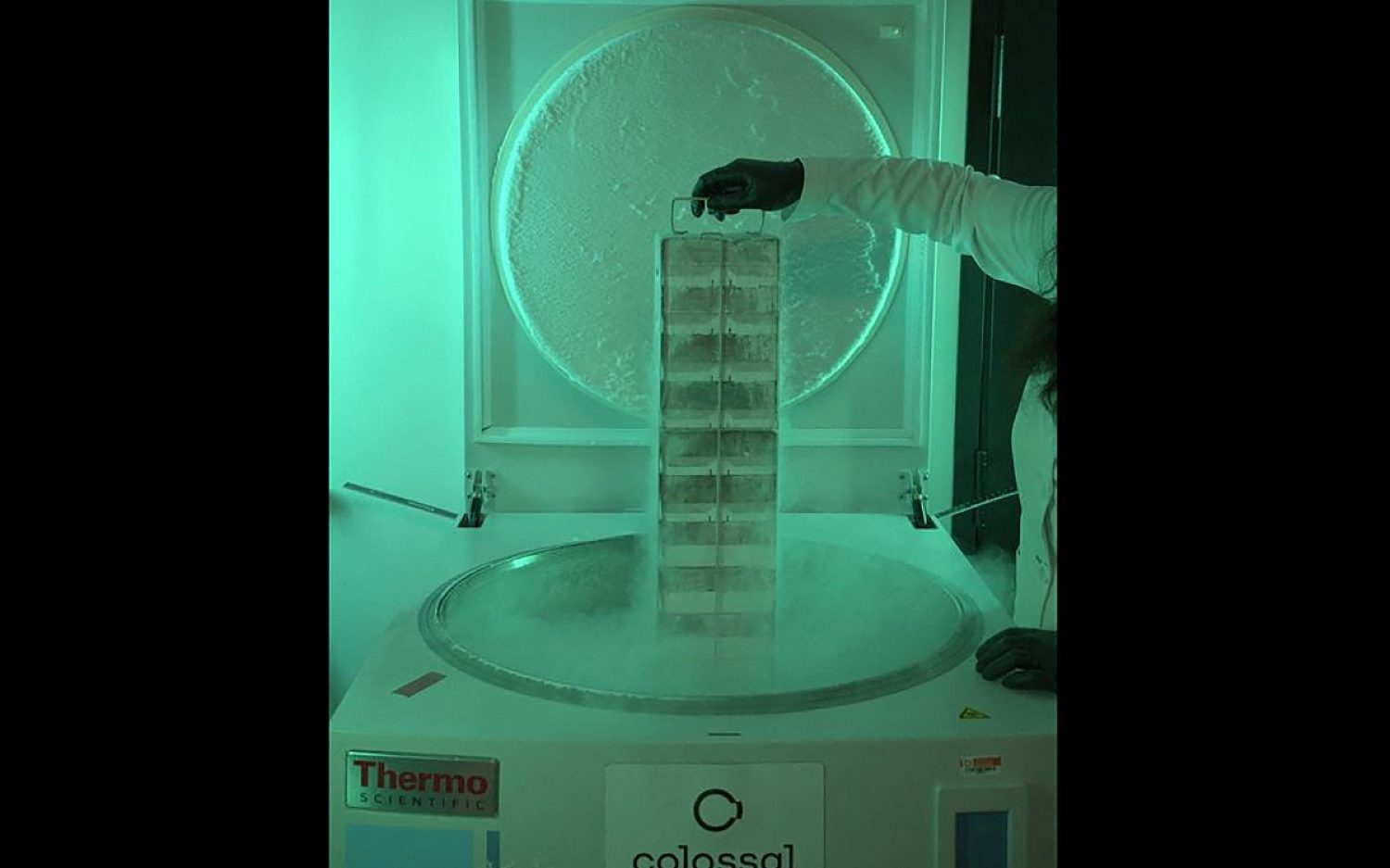 1 Biovault Reuters k