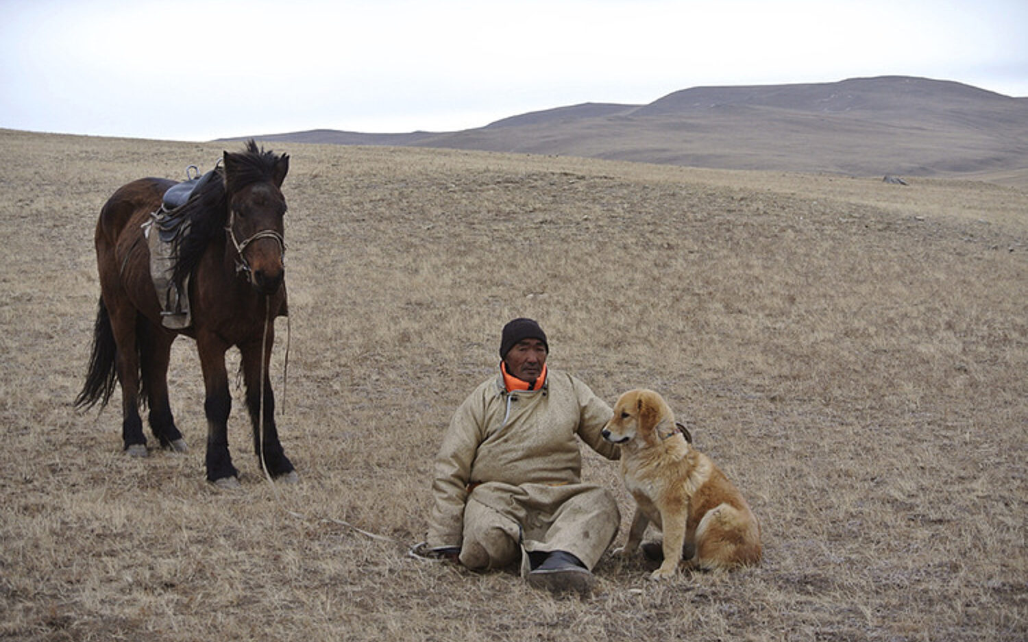 3 Mongolia 750x502