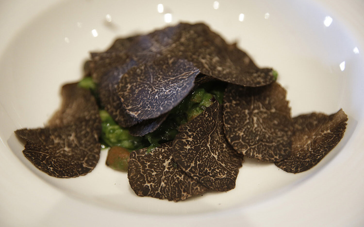 3 Truffle Econ 750x500