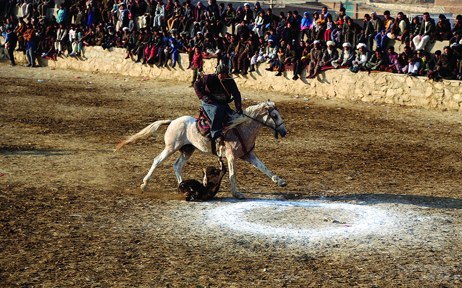 3 horse sports AP