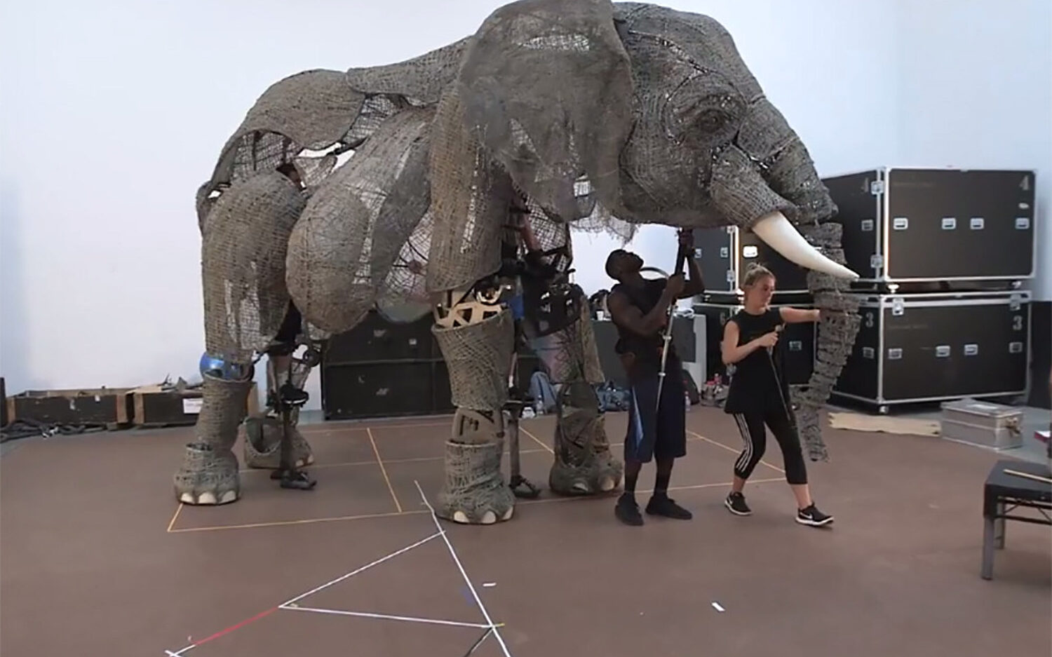 Elephant Encore in a 1903 Circus | God's World News