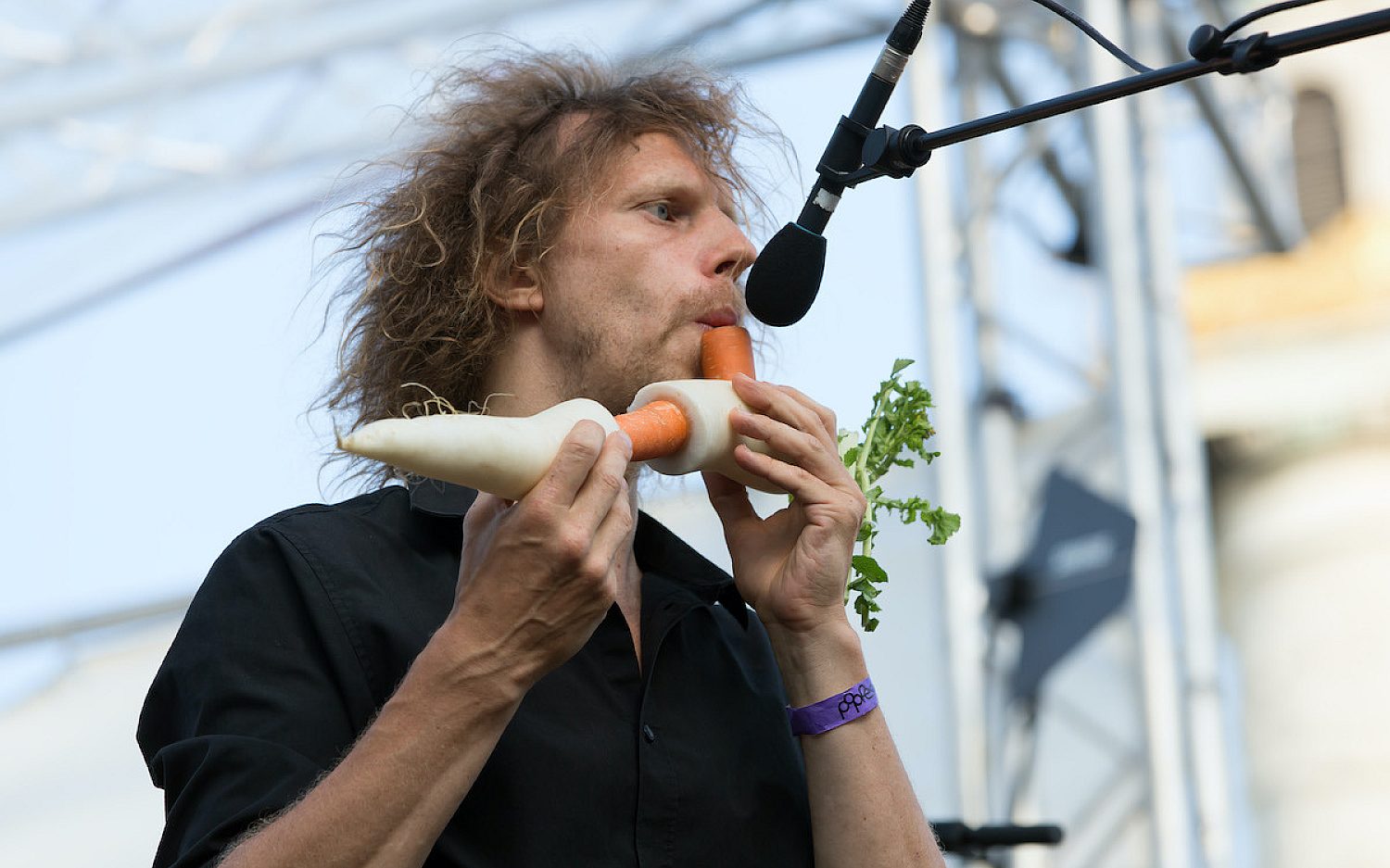 4 Veg Orchestra credit Manfred Werner Tsui