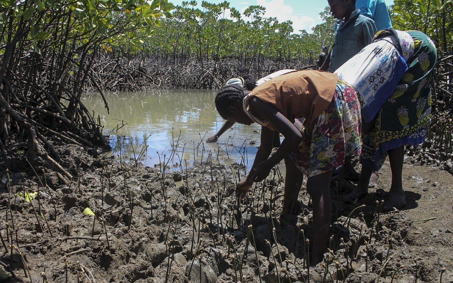 4 africa oceans expand