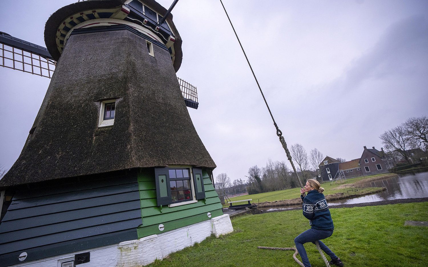 5 Windmills AP