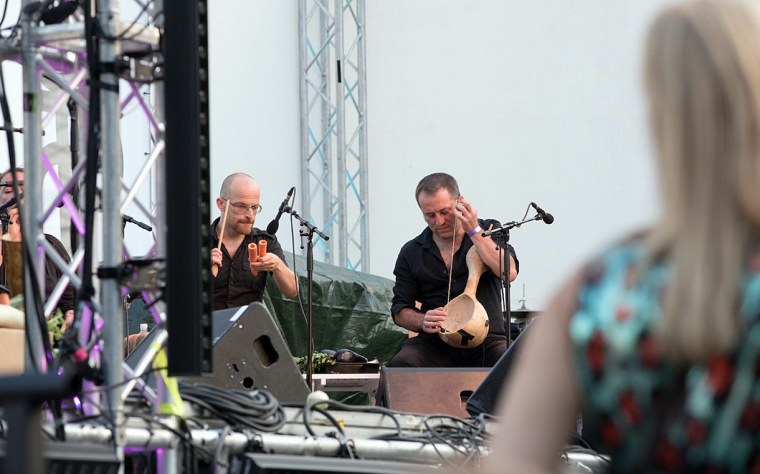 5 Veg Orchestra credit Manfred Werner Tsui
