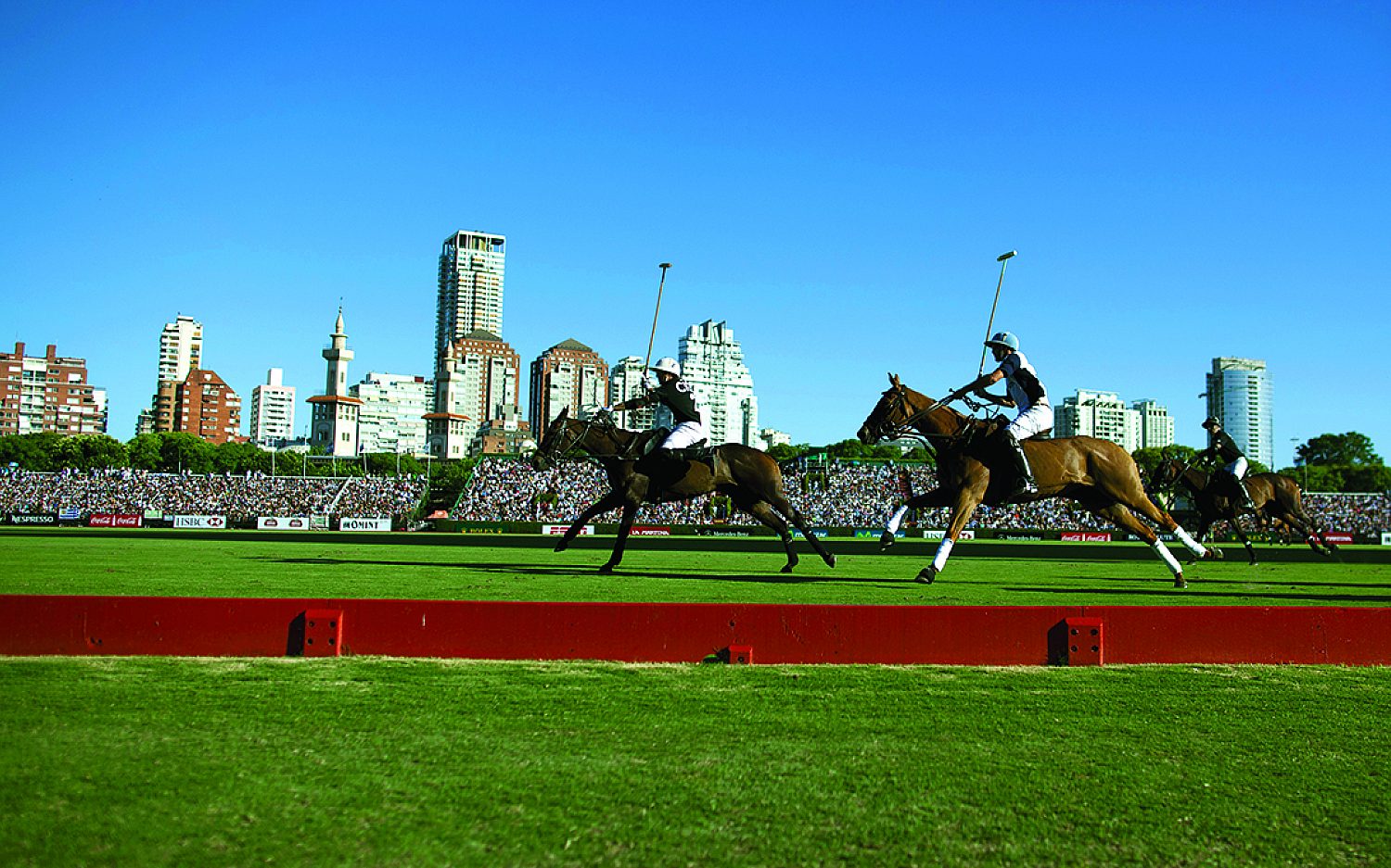 5 poloponies AP t