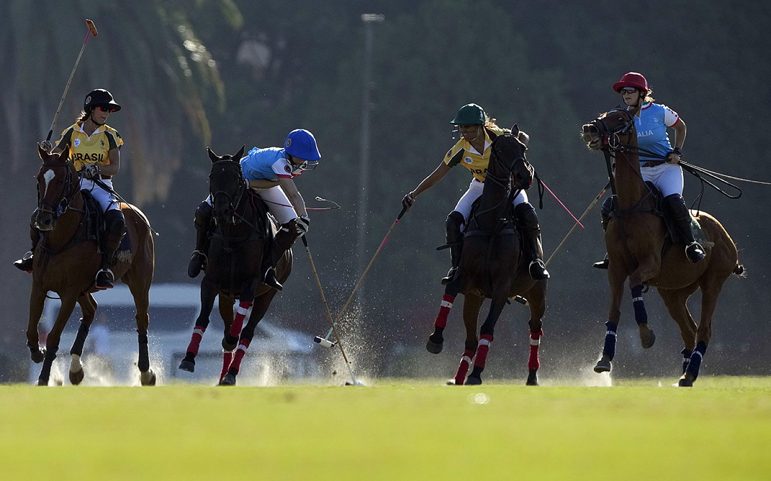 6 poloponies AP t