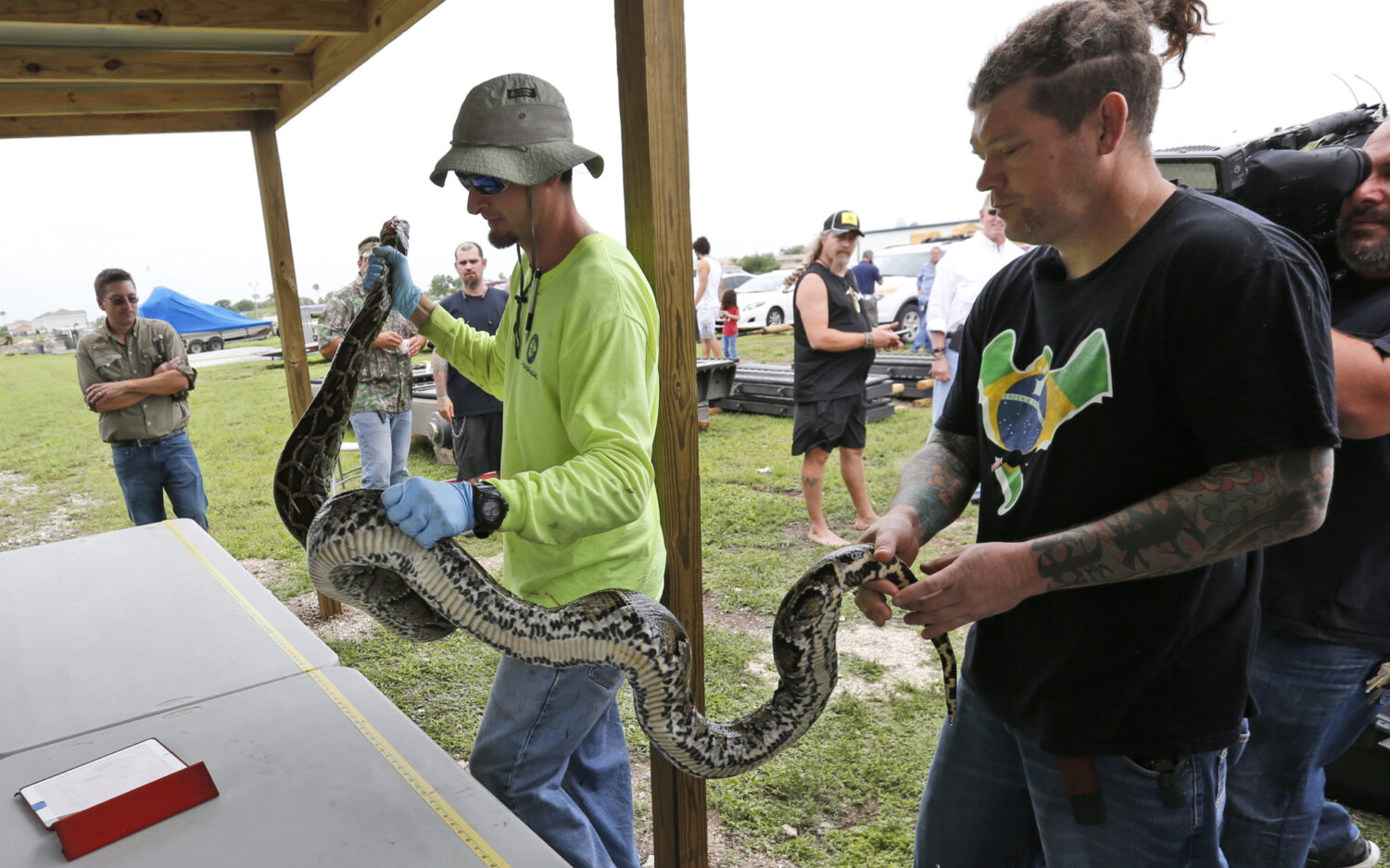 1000 Meter Python 1,000 Pythons | God's World News