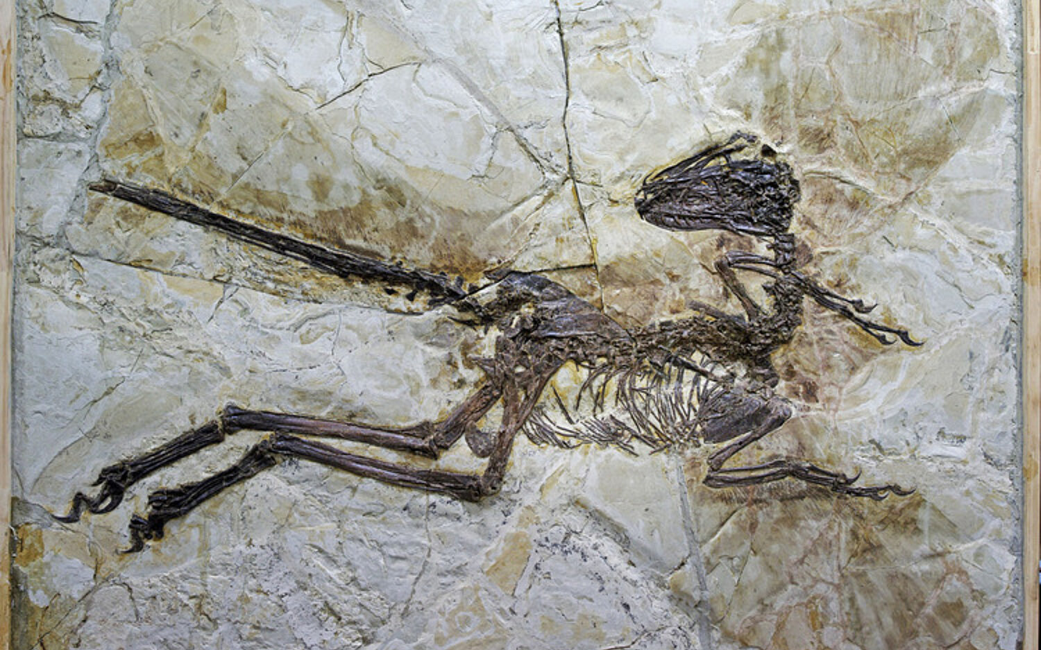 Britain20 Dinosaur Kolz 750x612