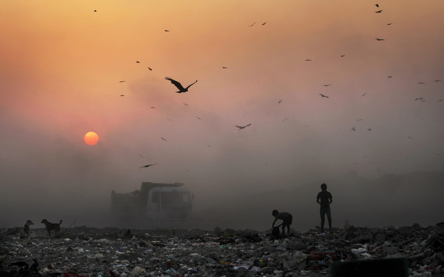 DEL136 airpollution