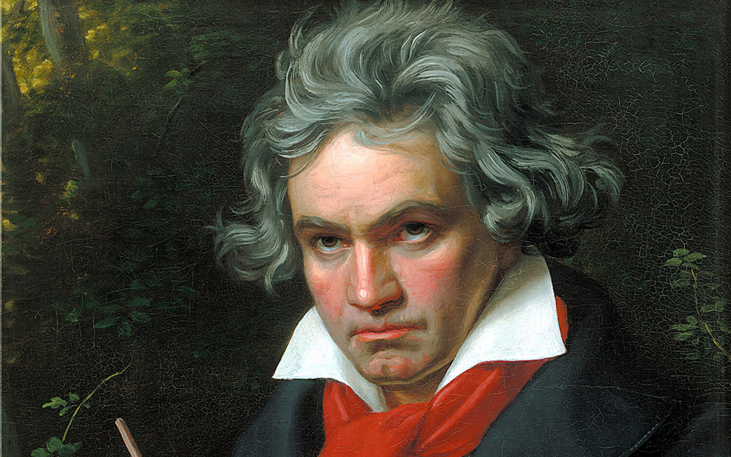 Image20120 Beethoven crop