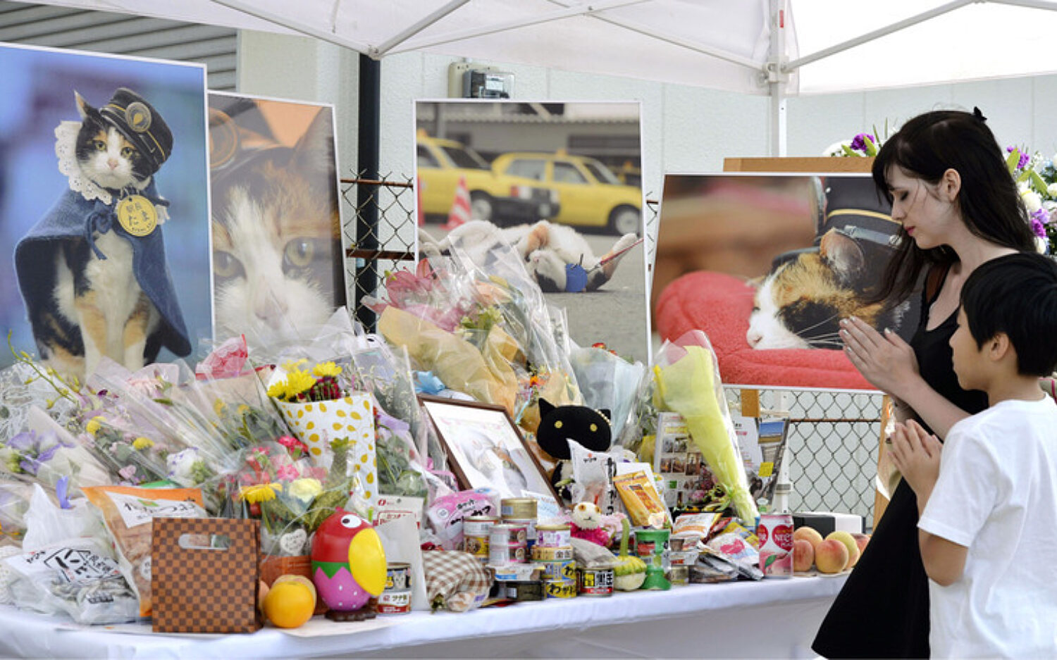 Japan20 Cat20 Funeral Kolz 750x458 0