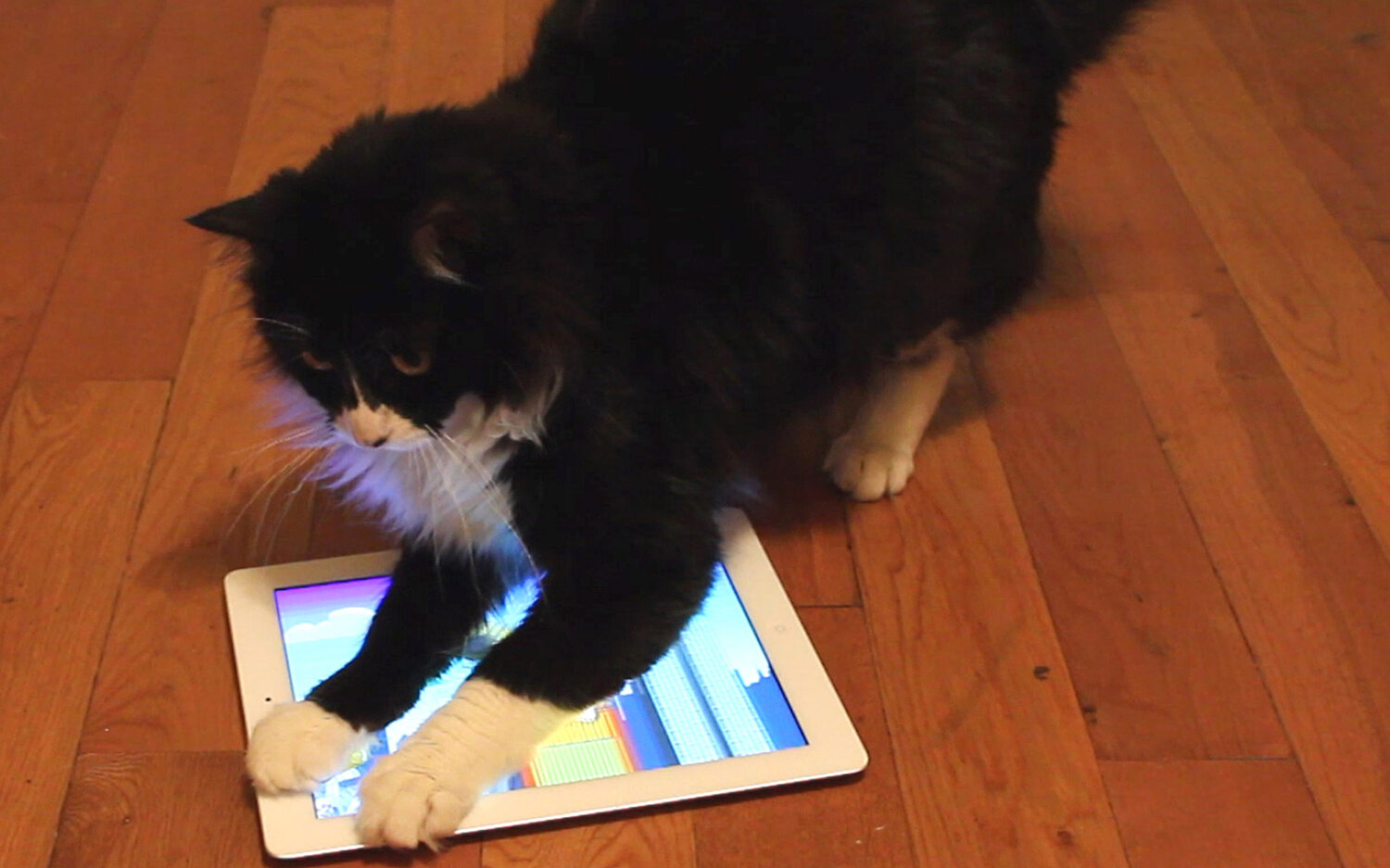 LA301 catapps