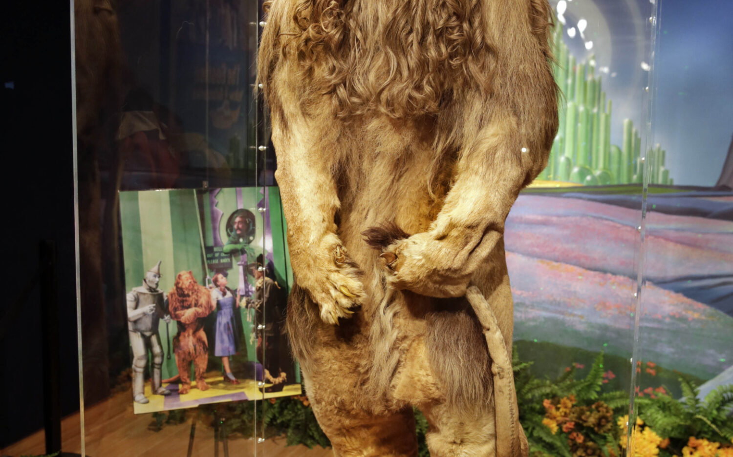 NYRD308 lioncostume