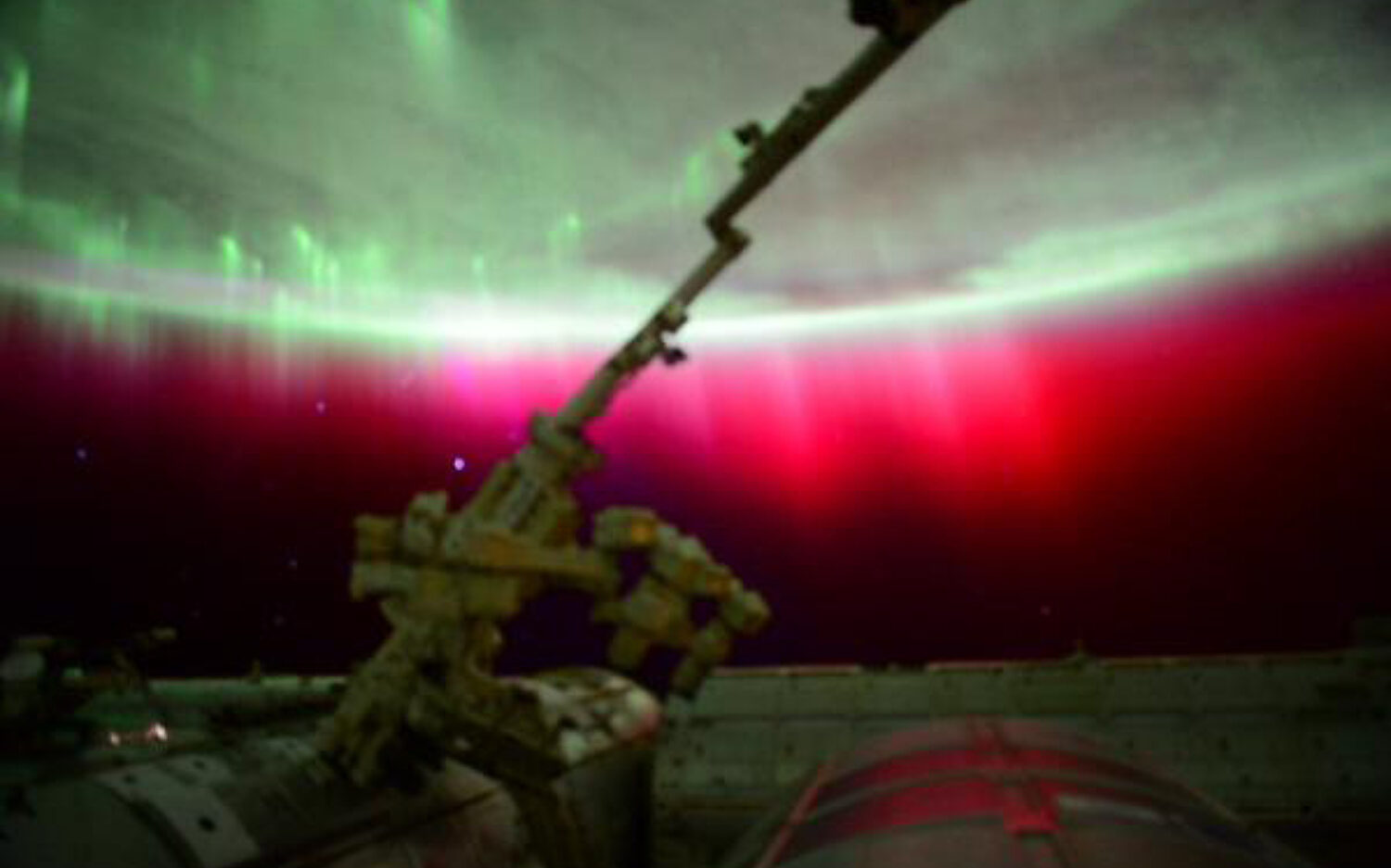 Red20 Aurora Kolz 599x399