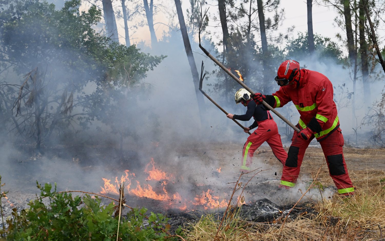 T2 Spain France wildfires